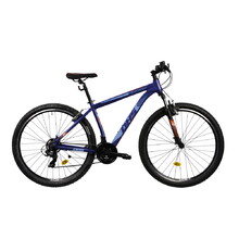 Hegyi kerékpár DHS Teranna 2923 29" - modell 2021 - kék
