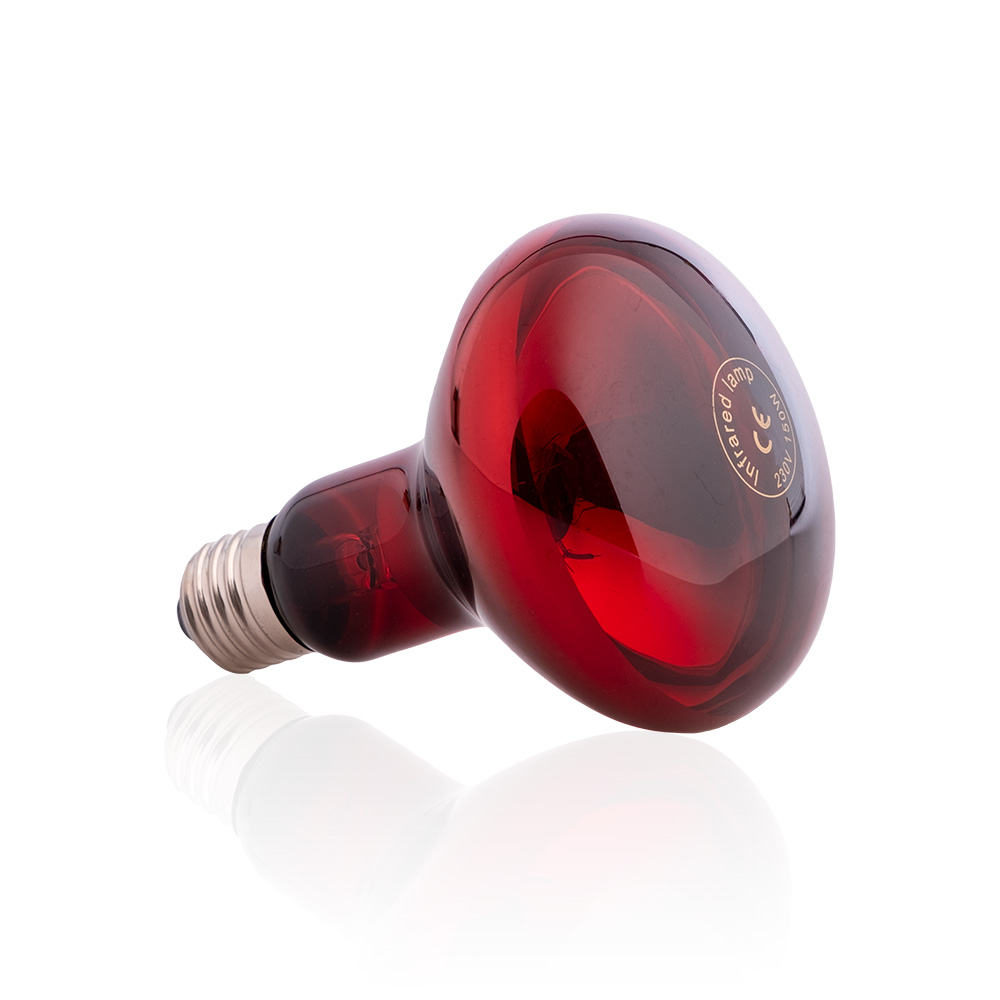 Infra égő inSPORTline 150W/230V E27 R95 akciós termékkép 1