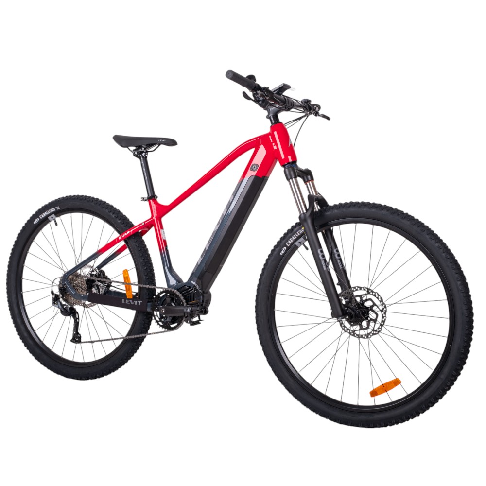 MTB ebike Levit Muan BF3 Overstep 630 29" - model 2024 17" (165-175 cm) Bordó Szürke Gyöngy termék 2. képe