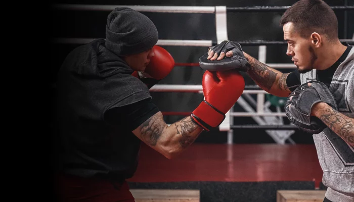 Box ütő és rúgó pajzsok