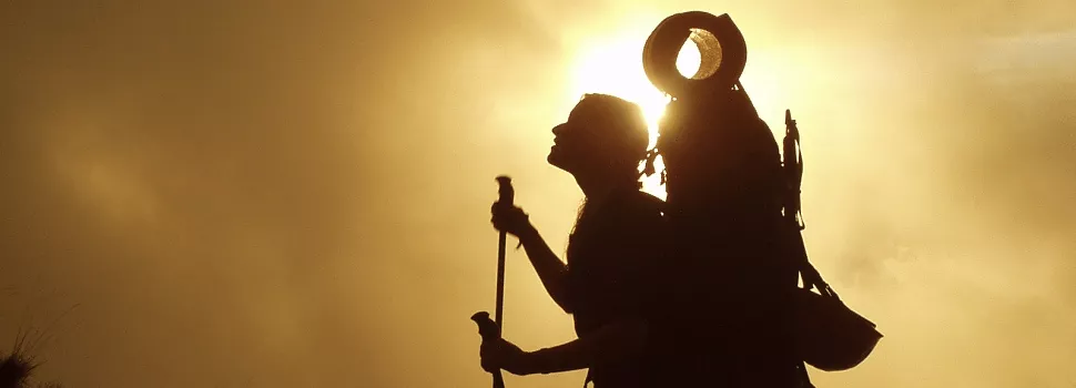 Mi a Nordic Walking és miért olyan hatékony?