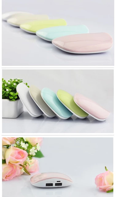 Pótaku Powerbank Shell ZY101