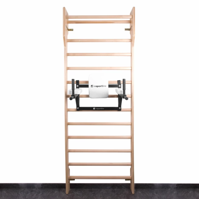 Tolódzkodó 2 az 1-ben inSPORTline LCR-11114B - fekete