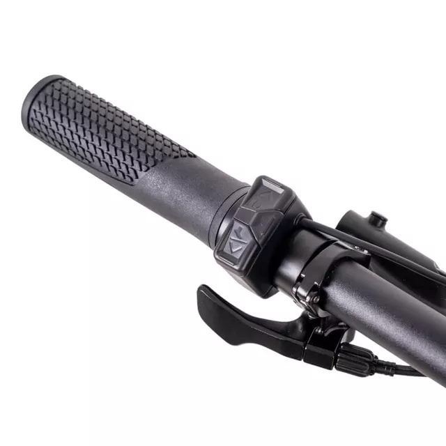 Elektromos hegyikerékpár inSPORTline ISL Tachion 630Wh 29" - 2025-ös modell, Bafang M510 motor, színes kijelző, 29" kerékátmérő - Grafit Neon