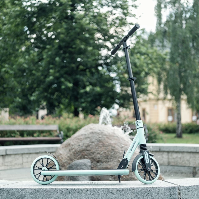 Roller inSPORTline Wayomint