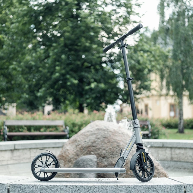 Roller inSPORTline Wayotan