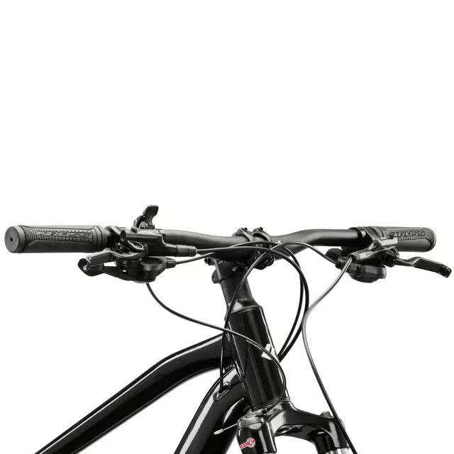 Hegyi kerékpár Kross Hexagon 5.0 29" Gen 008 - ezüst / fekete / fényes