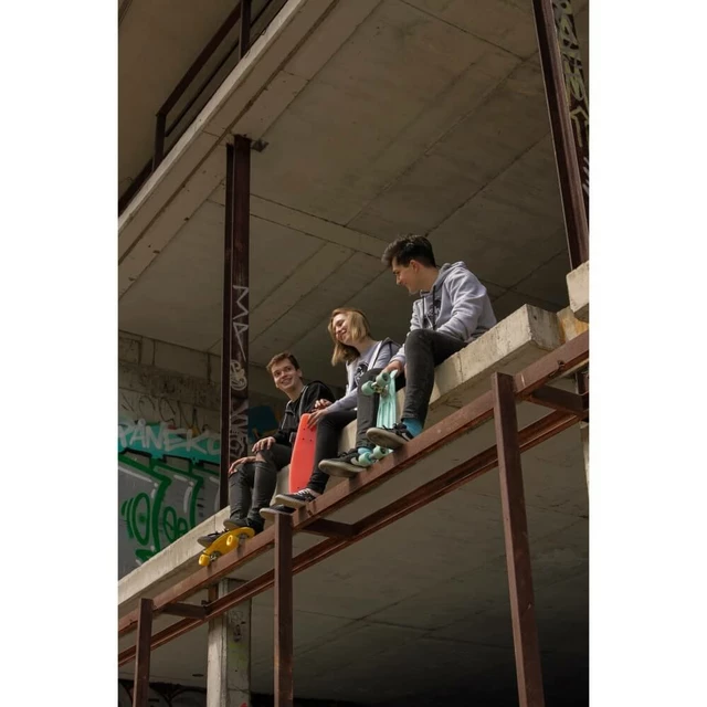 Műanyag gördeszka Fish Classic 22" - Green-Black-Blue