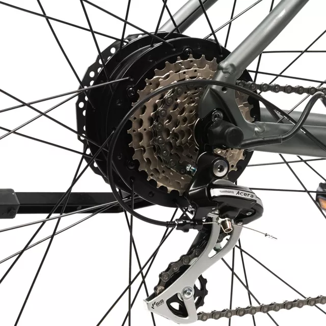 Elektromos mountain bike 2025 Devron Vulcan 29", Színes LCD, 250 W-os Bafang hátsó kerékagymotor, 100 km hatótáv - szürke