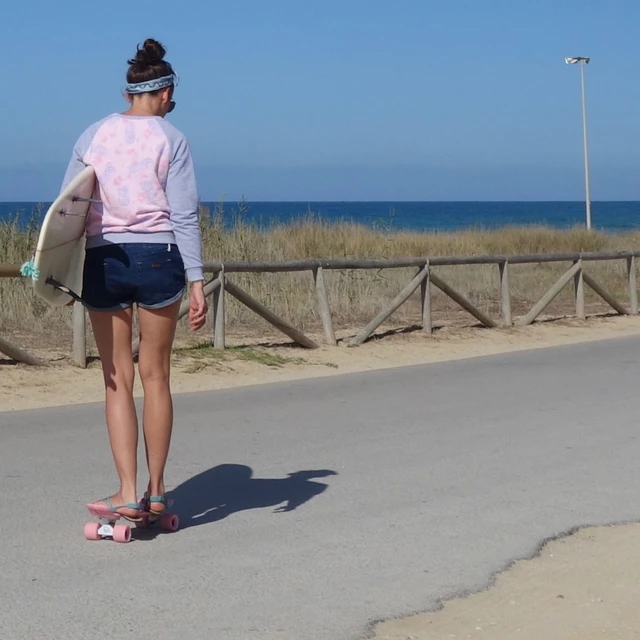 Műanyag gördeszka Fish Classic 22" - Green-Black-Blue