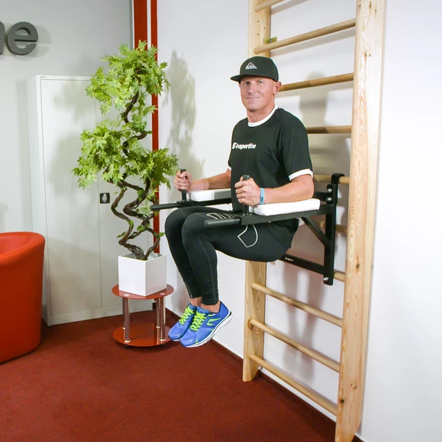 Bordásfal Dremar inSPORTline 200 x 80 cm 2014