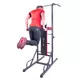 Multifunkciós húzódzkodó és súlyzó szett inSPORTline Power Tower 3-50 kg
