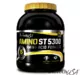 BioTech AMINO ST 5300