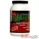 BioTech Creatine Transport System