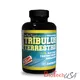 BioTech TRIBULUS TERRESTRIS