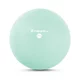 Jóga labda inSPORTline 2 kg - mentol