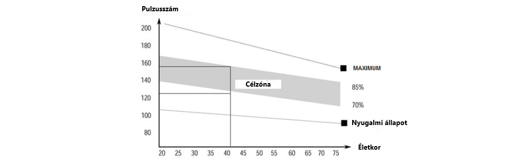 Ideální tepová frekvence na veslařském trenažéru